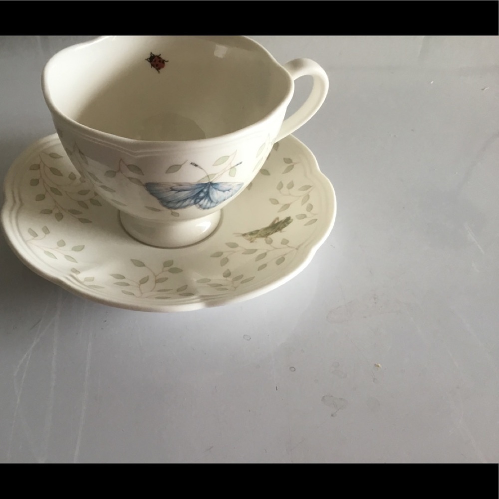 LENOX BUTTERFLY MEADOW  (Lady Bug & Grasshopper Motifs)TEA CUP‎
